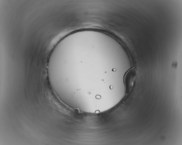 X0000112851363200909041520