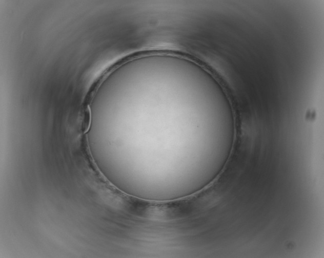 X0000112851364200909041520