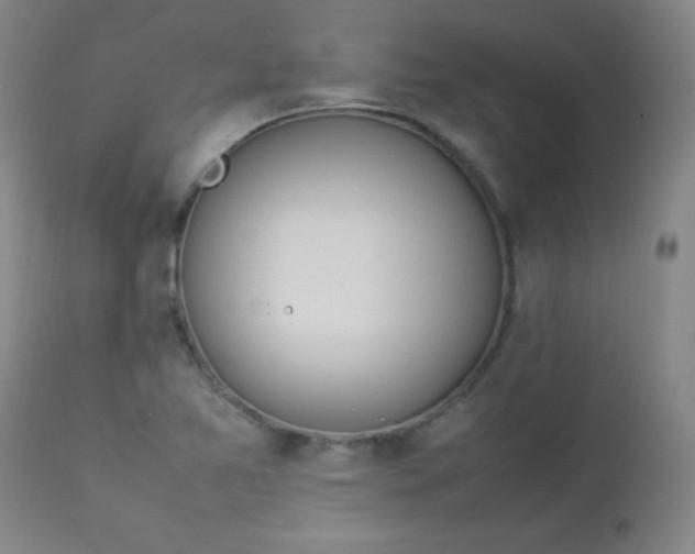 X0000112851365200909041520