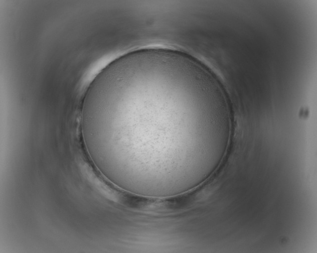 X0000112851367200909041520