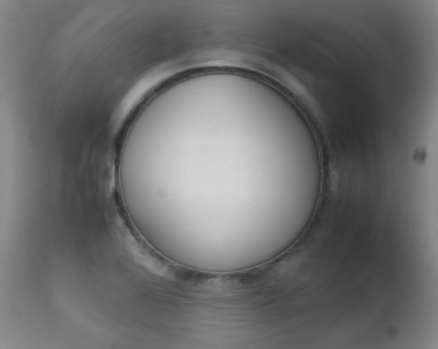 X0000112851368200909041520