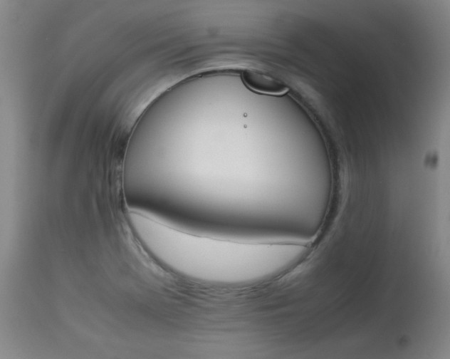 X0000112851369200909041520