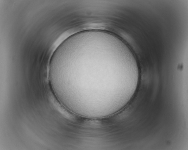 X0000112851370200909041519