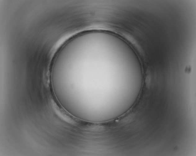 X0000112851372200909041519