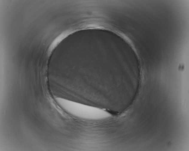 X0000112851373200909041519