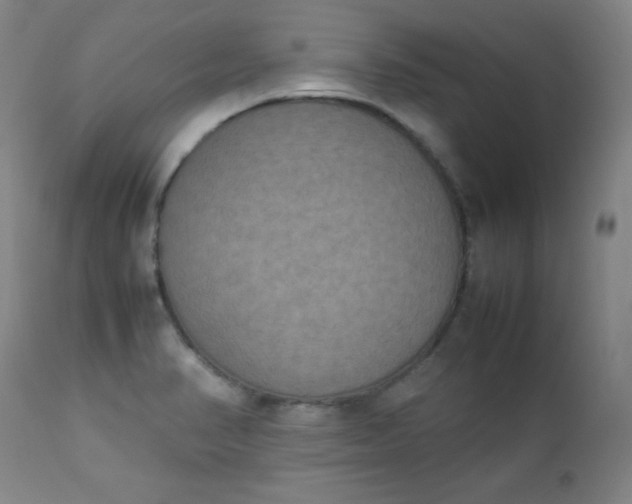 X0000112851374200909041519