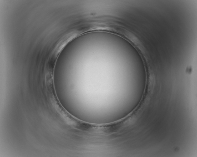 X0000112851377200909041519