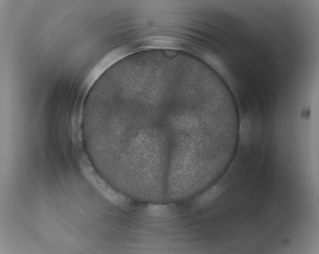 X0000112851378200909041519