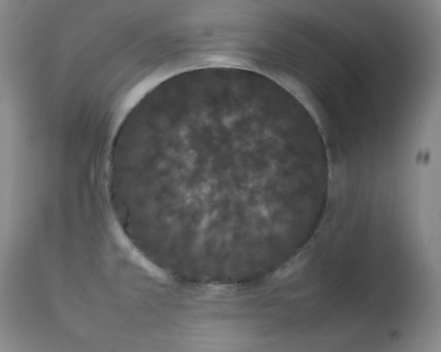 X0000112851381200909041519