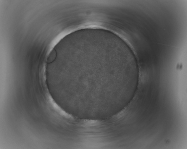 X0000112851382200909041519