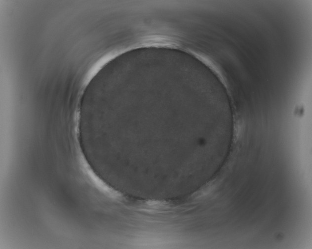 X0000112851383200909041519