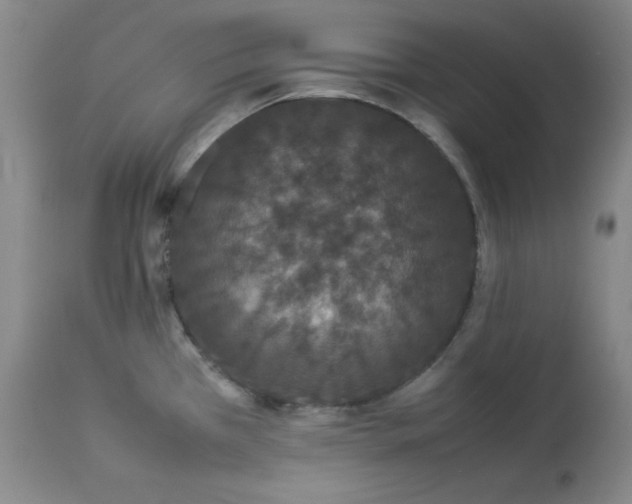 X0000112851385200909041519