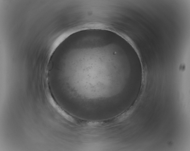 X0000112851389200909041519