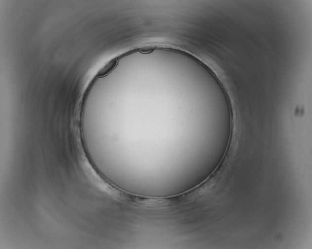 X0000112851392200909041519