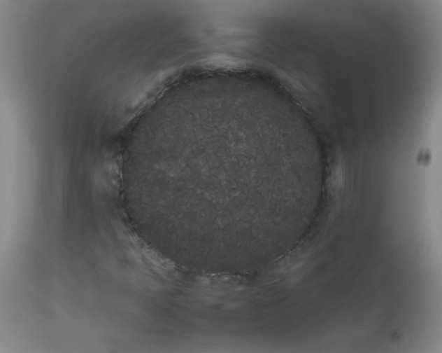 X0000112851397200909041518