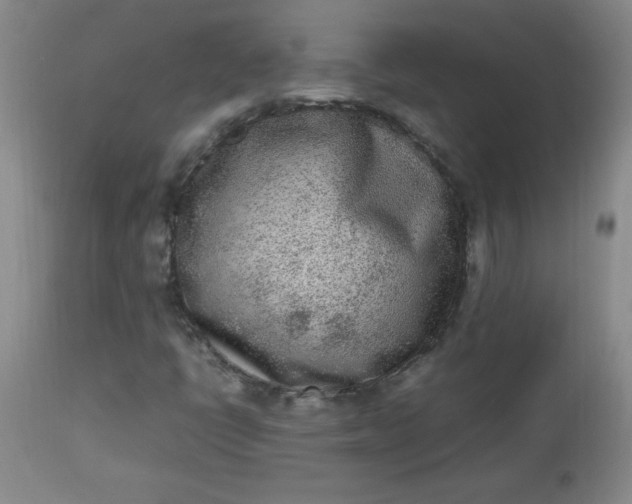 X0000112851398200909041518