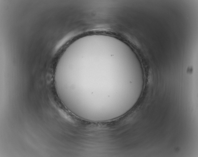 X0000112851400200909041518