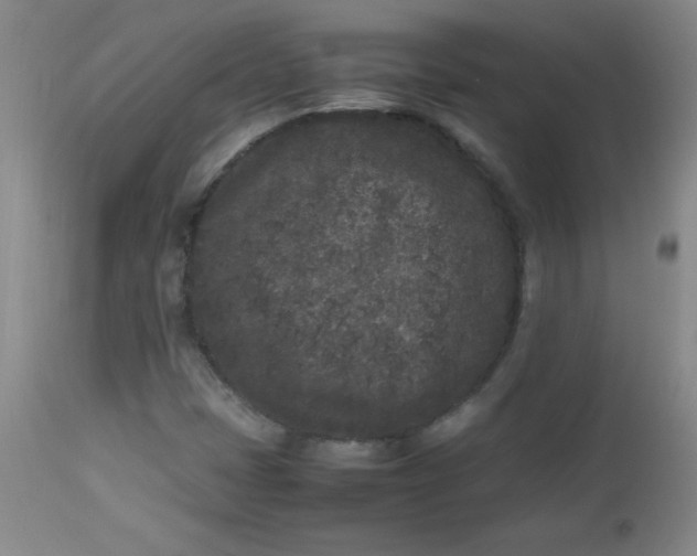 X0000112851401200909041518