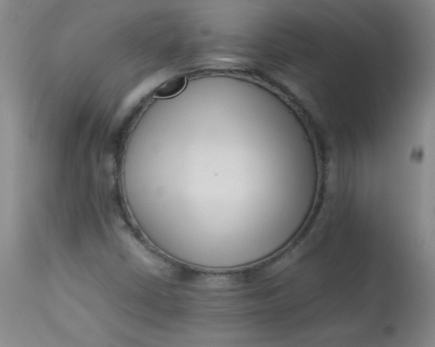 X0000112851402200909041518