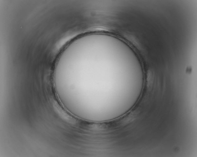 X0000112851404200909041519