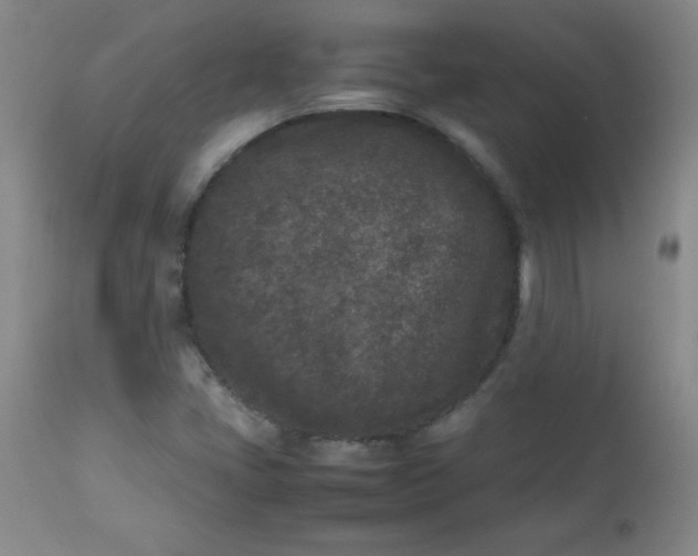 X0000112851405200909041519