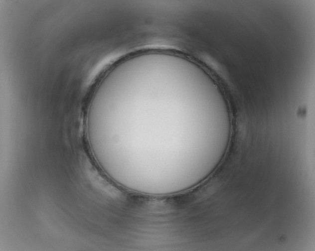 X0000112851408200909041519