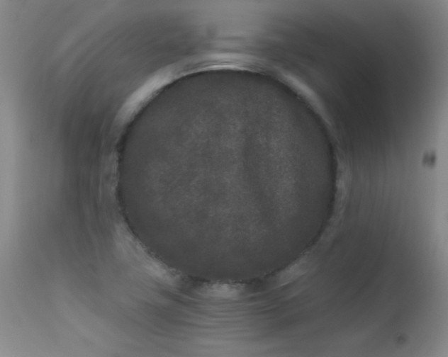 X0000112851411200909041519