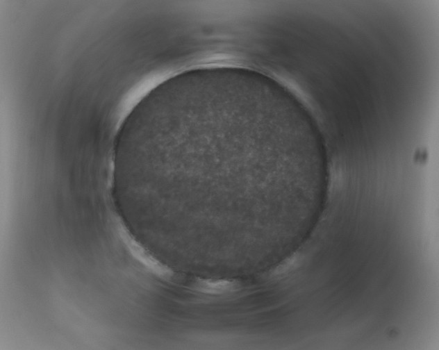 X0000112851413200909041519