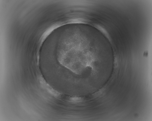 X0000112851419200909041519