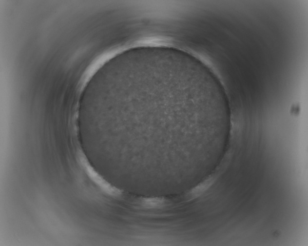 X0000112851421200909041519