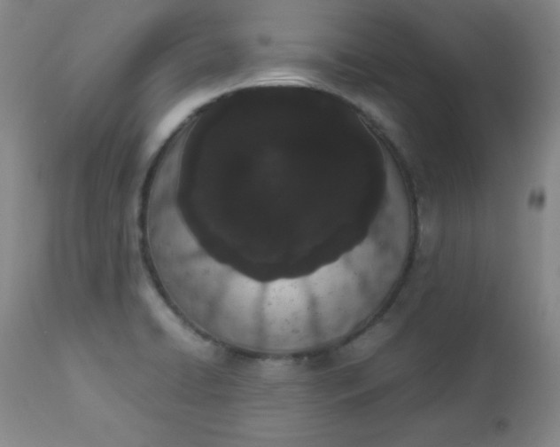 X0000112851422200909041519