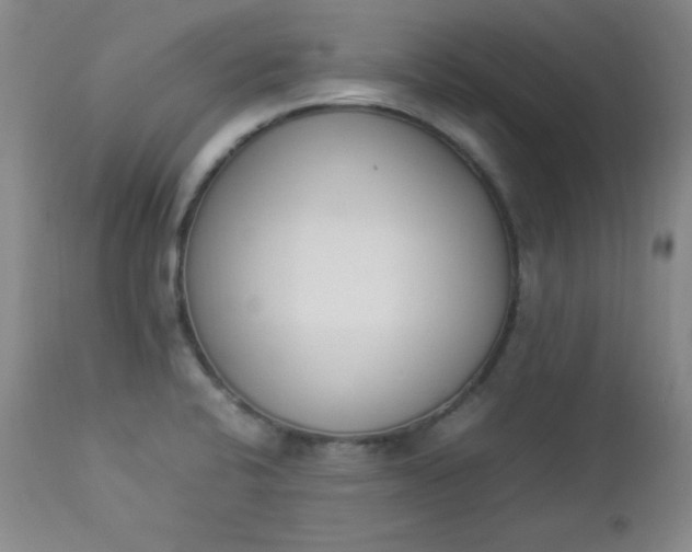 X0000112851424200909041519