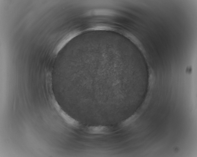 X0000112851425200909041519