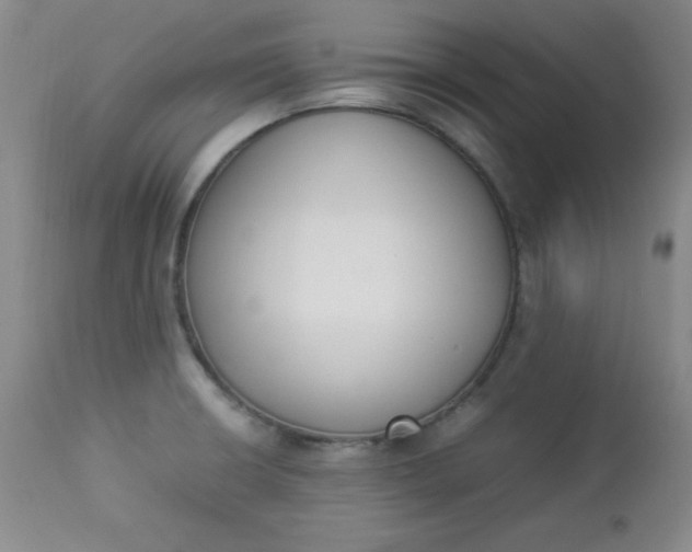 X0000112851426200909041519