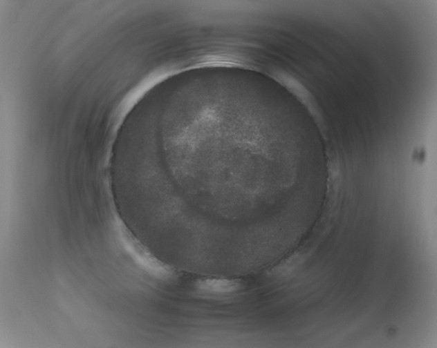 X0000112851427200909041519