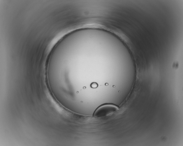 X0000112851430200909041519