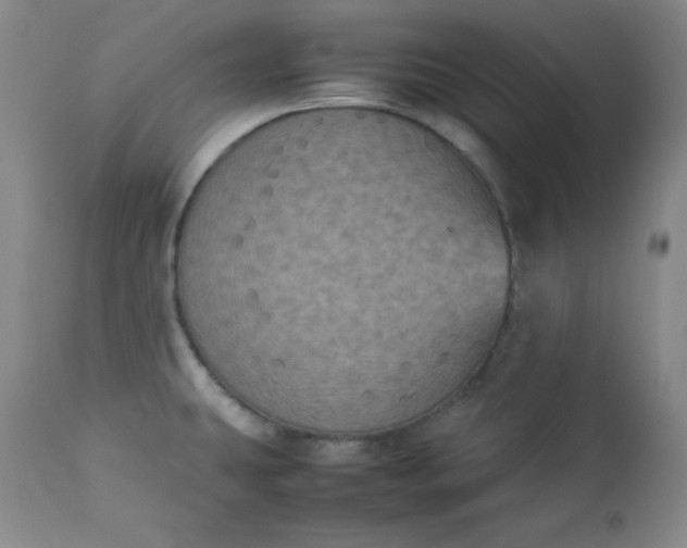 X0000112851431200909041519