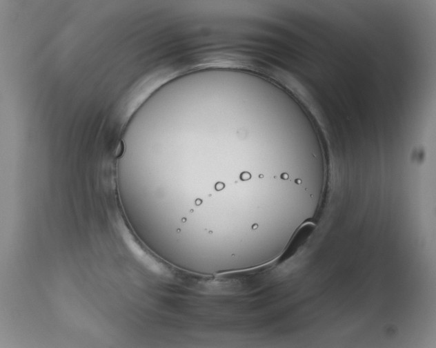 X0000112851433200909041519