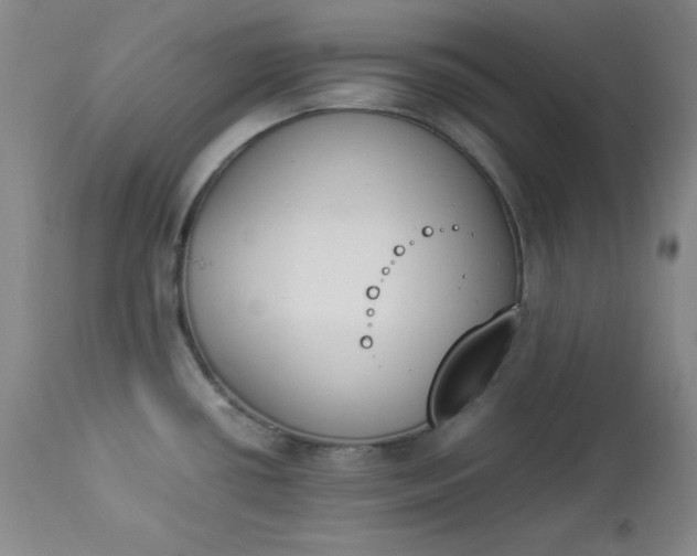 X0000112851434200909041519