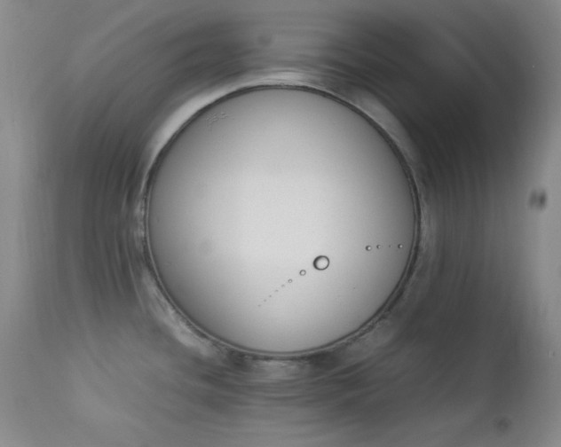 X0000112851436200909041519