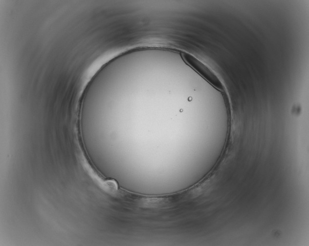 X0000112851437200909041519