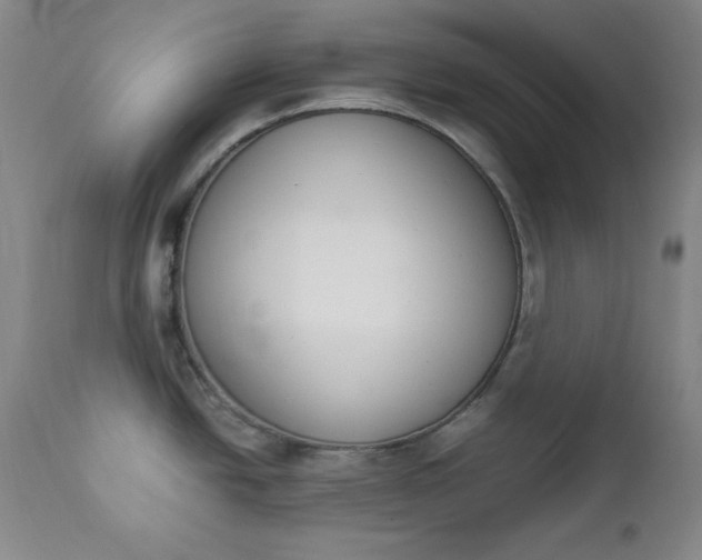 X0000112851438200909041519