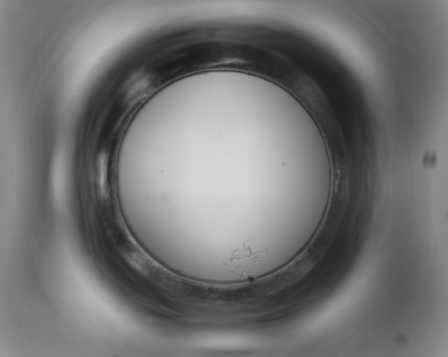 X0000112851439200909041519