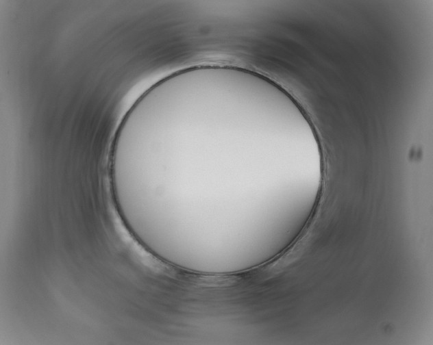 X0000112851440200909041519