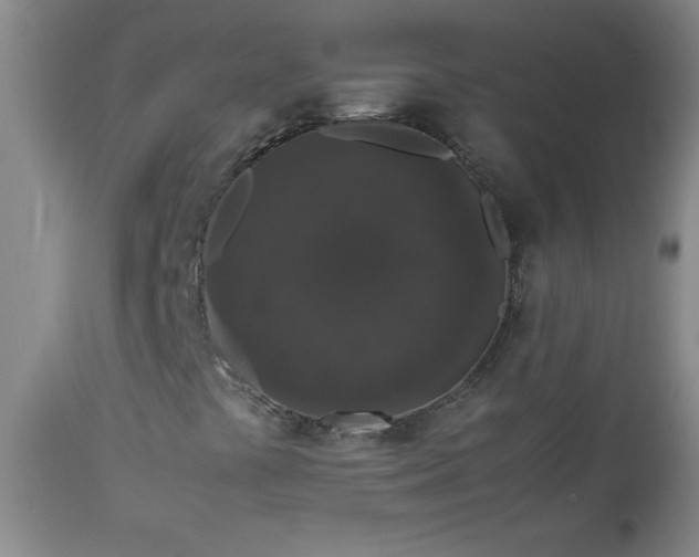 X0000112851441200909041518