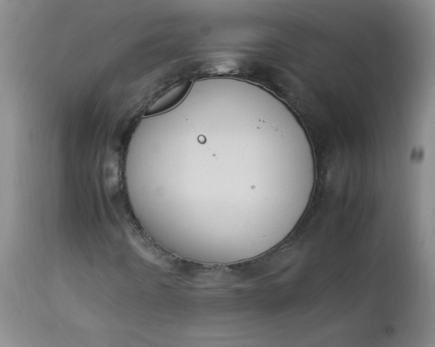 X0000112851442200909041518