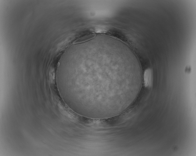 X0000112851443200909041518