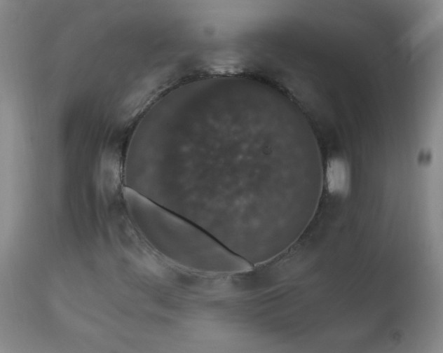 X0000112851444200909041518