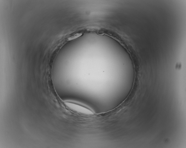 X0000112851445200909041518