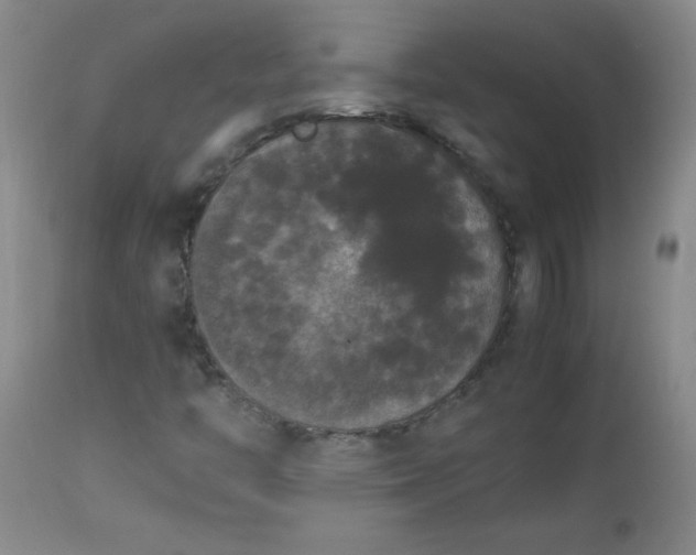 X0000112851446200909041518